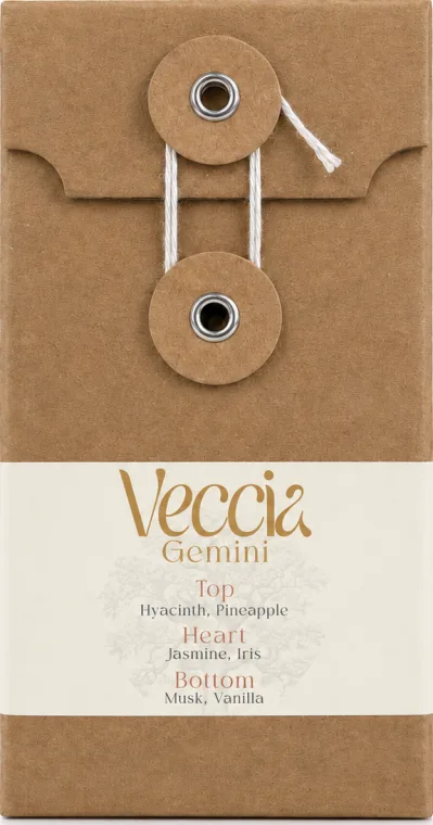 Gemini box, front